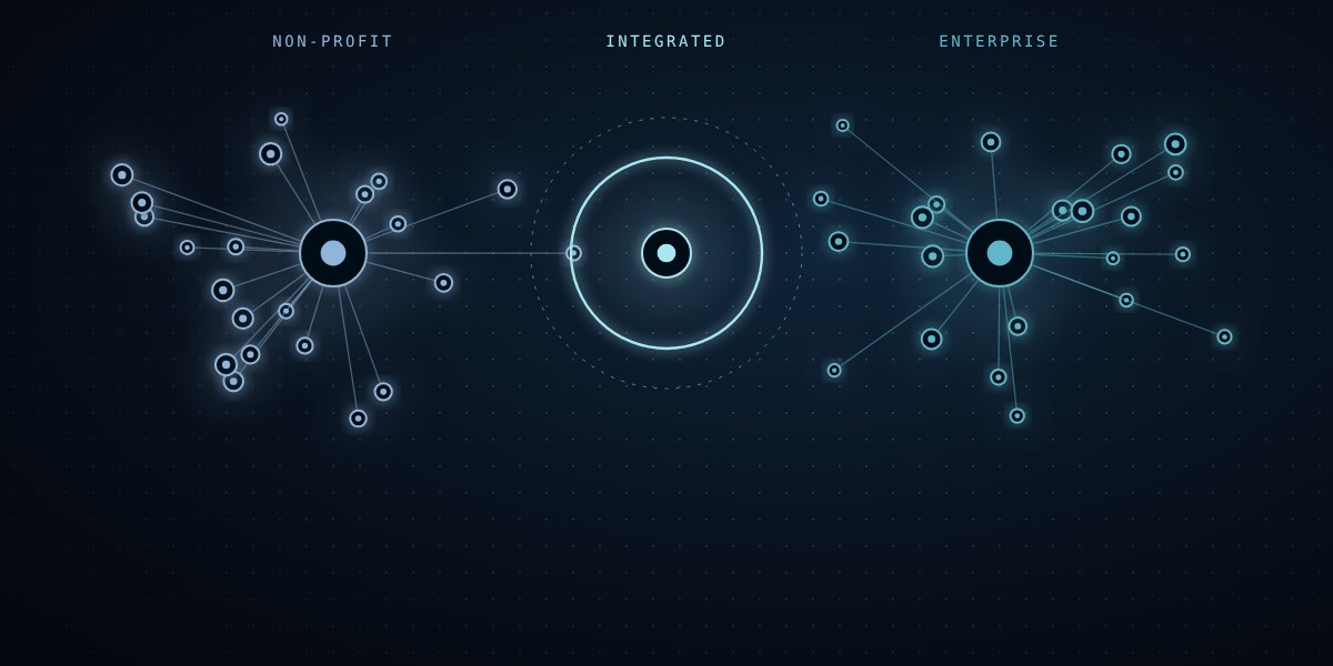 Two networks joining through a central integration point